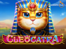 Bestpet kedi maması 15 kg. Mobile casino turkey.14